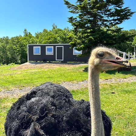 Margo'S Garden Farmstay, Kiroro Akaigawa المظهر الخارجي الصورة