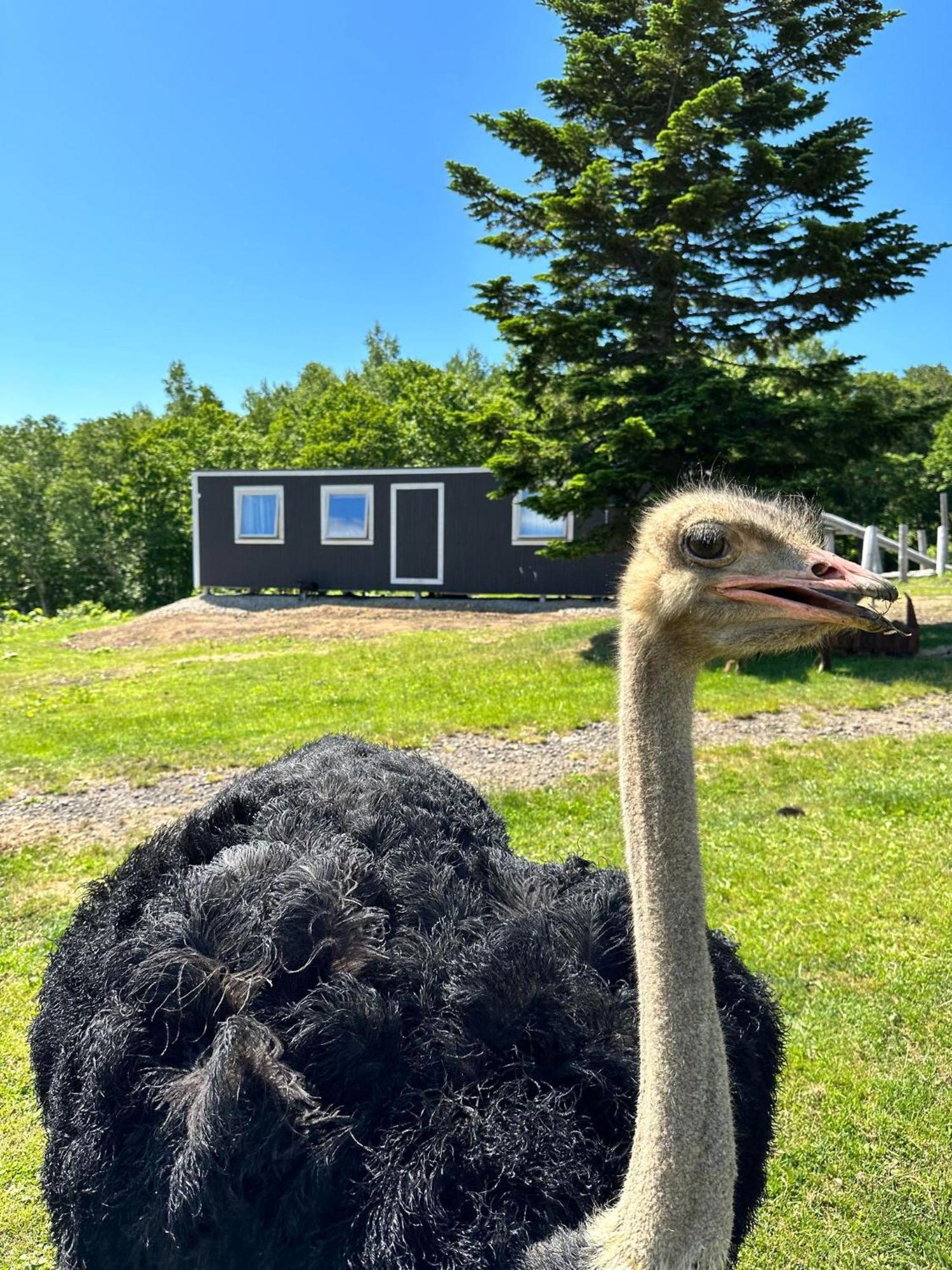 Margo'S Garden Farmstay, Kiroro Akaigawa المظهر الخارجي الصورة